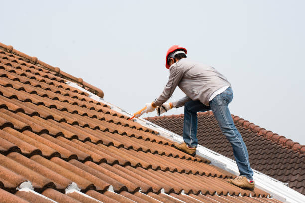 Best Cold Roofs  in Morgantown, IN